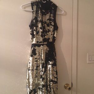 Stunning Silver Sequin-Embroidered Midi Dress (8) Brand New !